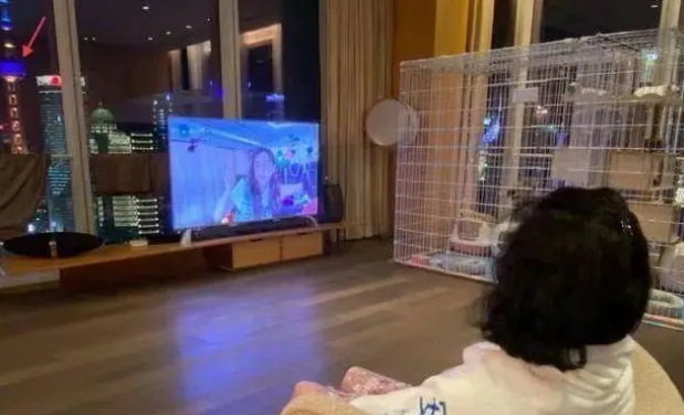 角子機:又哭穷!欧弟卖车养女儿,张学友说钱没赚够,有人月入几万嫌不够吃饭